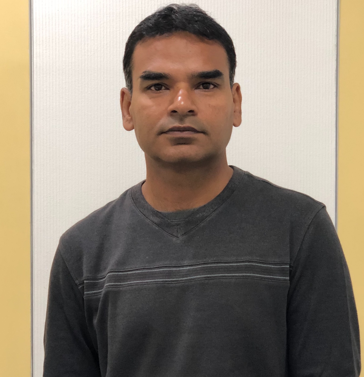 Niranjan P.